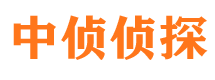 嘉禾市调查公司